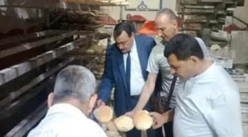 تحرير 221 محضراً تموينياً وضبط 13 طن أرز وذرة ونخالة مجهولة المصدر بالمنوفية